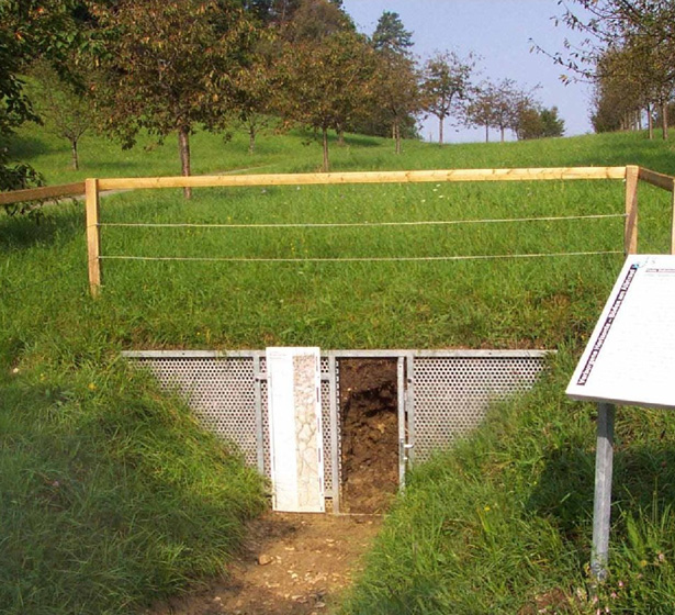 Bodenlehrpfad_Beuren_Station 5