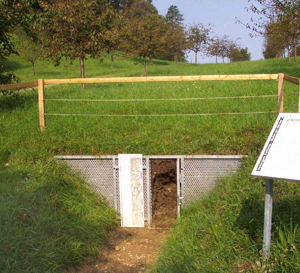 Bodenlehrpfad_Beuren_Station 5